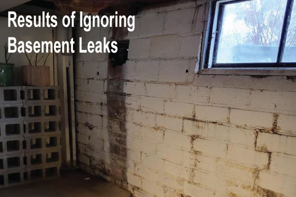 Waterproofing your Basement: Results of Ignoring Basement Leaks